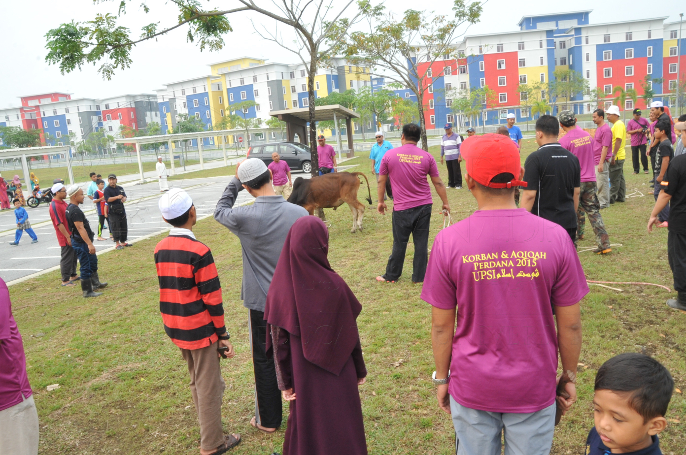 PRO15 150 KORBAN HAS 6725